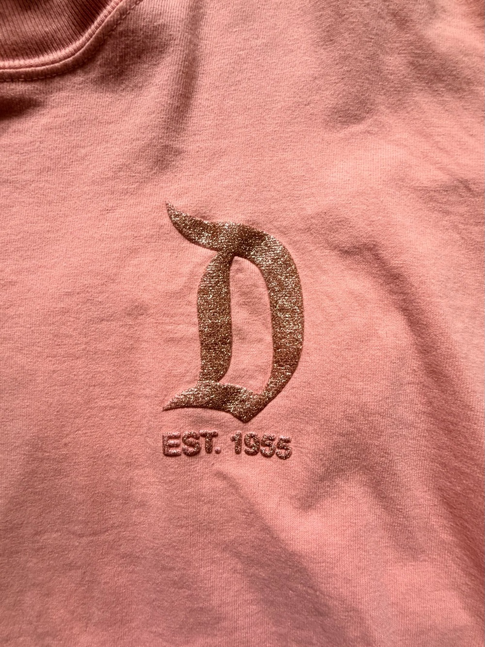 Peach Disneyland Spirit Jersey - Picture 2 of 4